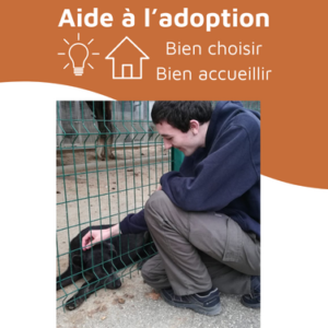 Aide à l’adoption