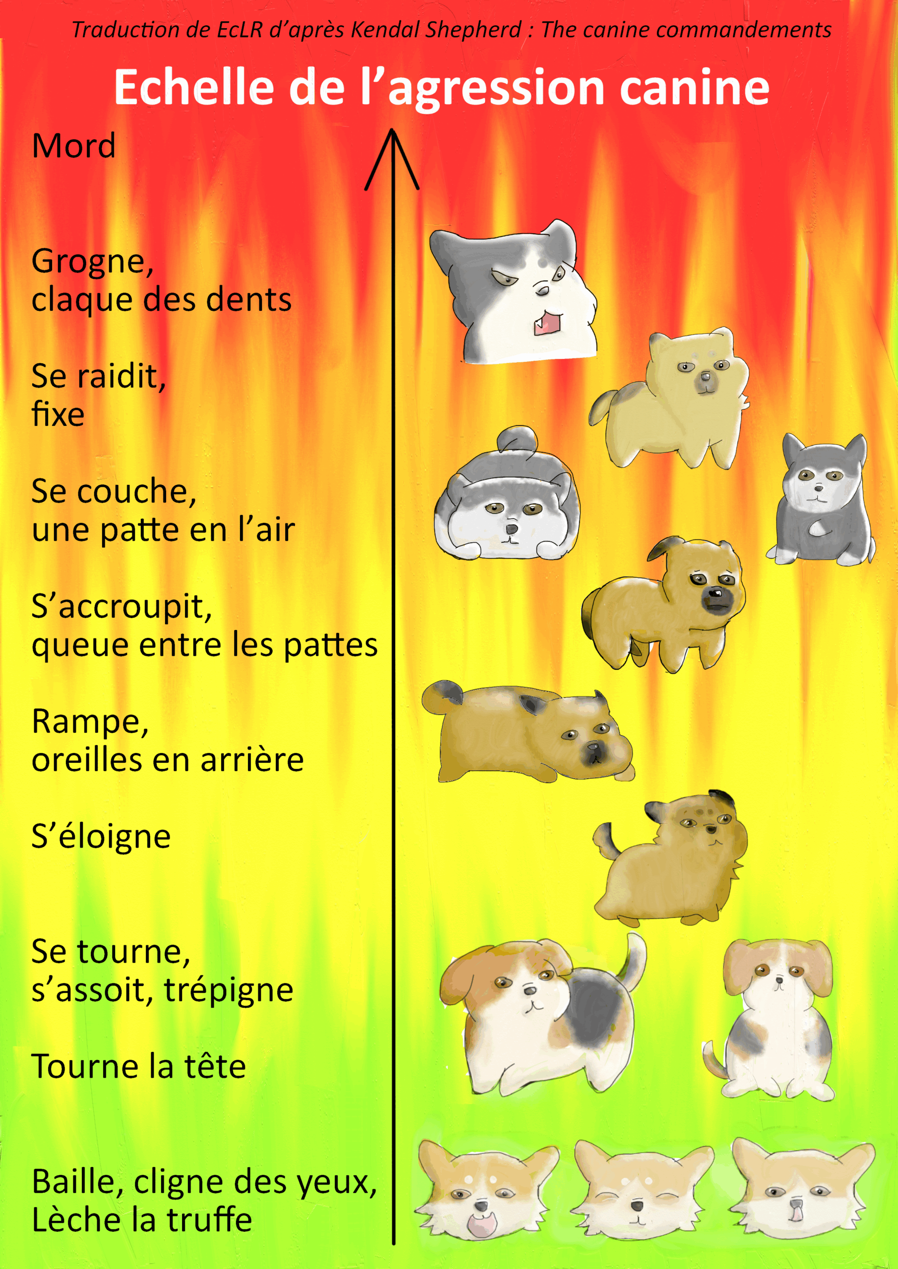 Echelle de l’agression canine de Kendal Shepherd illustrée par Louise Radet
